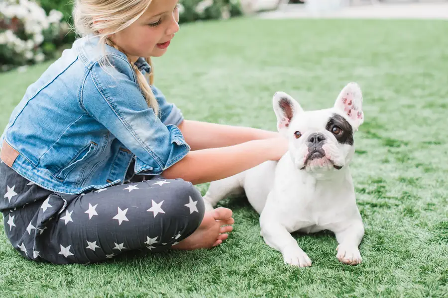 Child sitting with a dog on professionally cleaned artificial turf