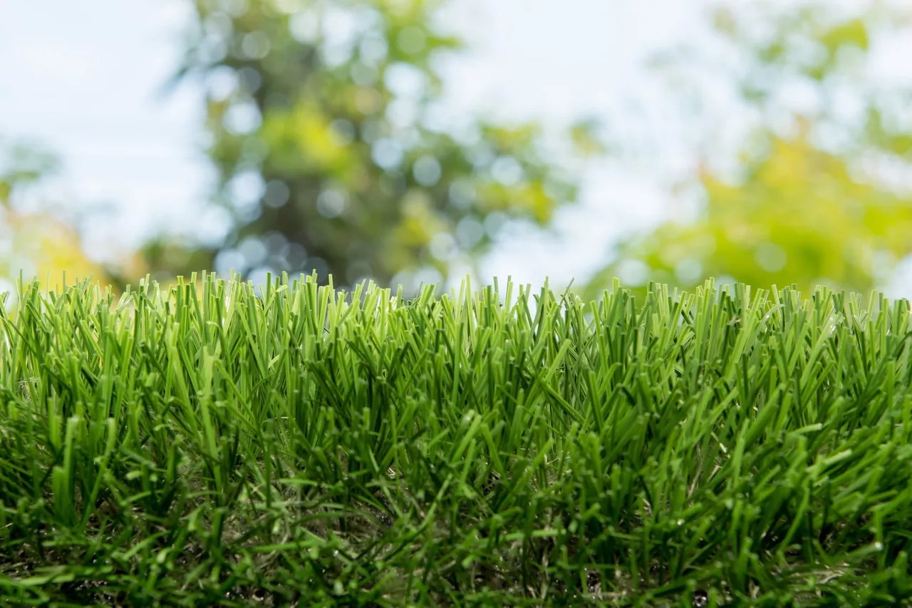 Close-up of clean upright artificial grass fibers after professional turf cleaning