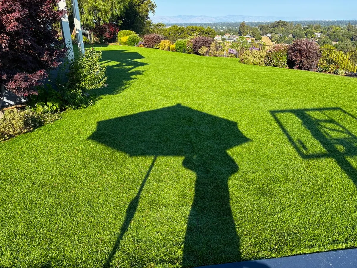 Completed TurFresh turf cleaning on a hilltop San Jose artificial lawn